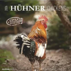 Calendario 2026 Chickens cm 30x30