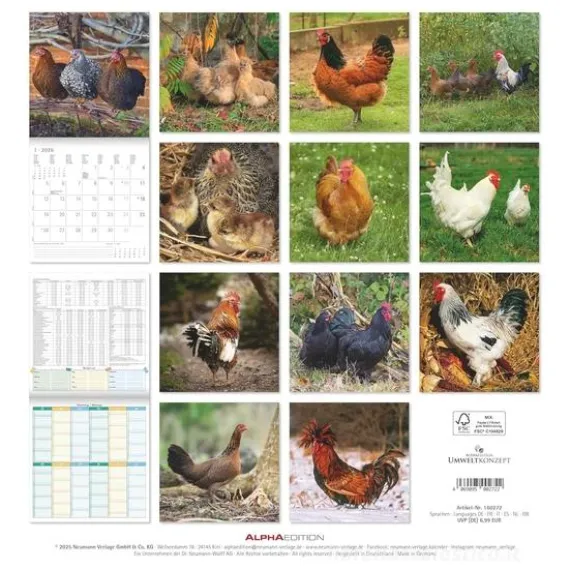 Calendario 2026 Chickens cm 30x30