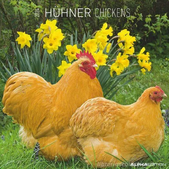 Calendario 2024 Chickens cm 30x30