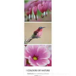 Calendario 2022 Colours of Nature 25x69
