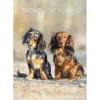Calendario 2022 Dachshund 23,7x34