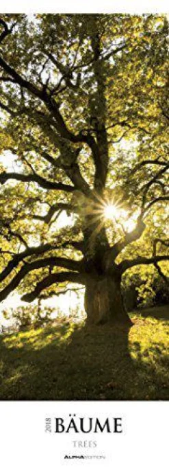 Calendario da muro Alberi 2018