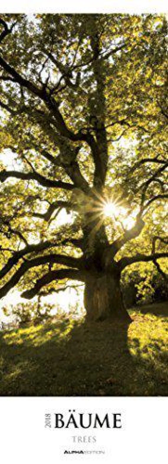Calendario da muro Alberi 2018