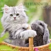 Calendario da muro Animali amici 2018