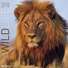 Calendario da muro Animali selvaggi 2018