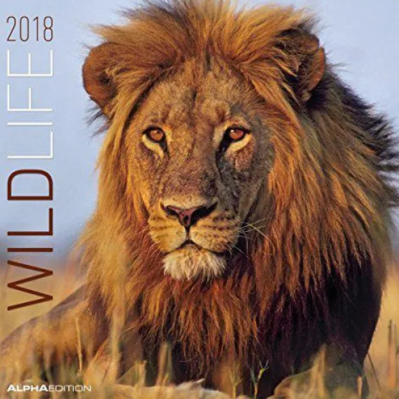 Calendario da muro Animali selvaggi 2018