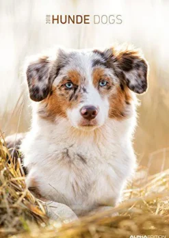 Calendario da muro Cani 2018