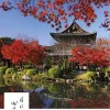 Calendario da muro Fascino del Giappone 2018