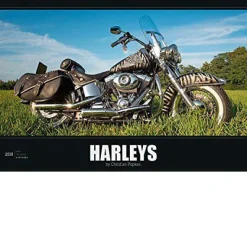 Calendario da muro Harleys 2018