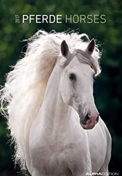 Calendario 2017 Da Muro Horses