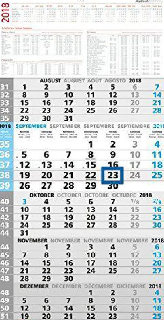 Calendario da muro olandese cinque mesi verticale 2018