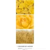 Calendario da parete 2024 Colours of Nature cm 25x69