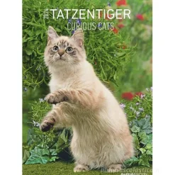 Calendario da parete 2024 Curious Cats cm 29,7x42