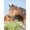 Calendario da parete 2025 Horses cm 23,7x34