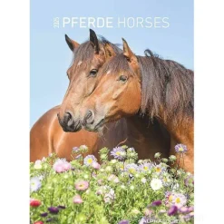 Calendario da parete 2025 Horses cm 23,7x34