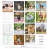 Calendario 2026 Dogs cm 30x30