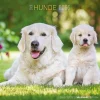 Calendario 2023 Dogs 30x30