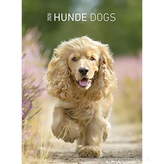 Calendario 2020 Dogs 23,7x34 cm