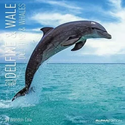 Calendario 2020 Dolphins and Whales 30x30 cm
