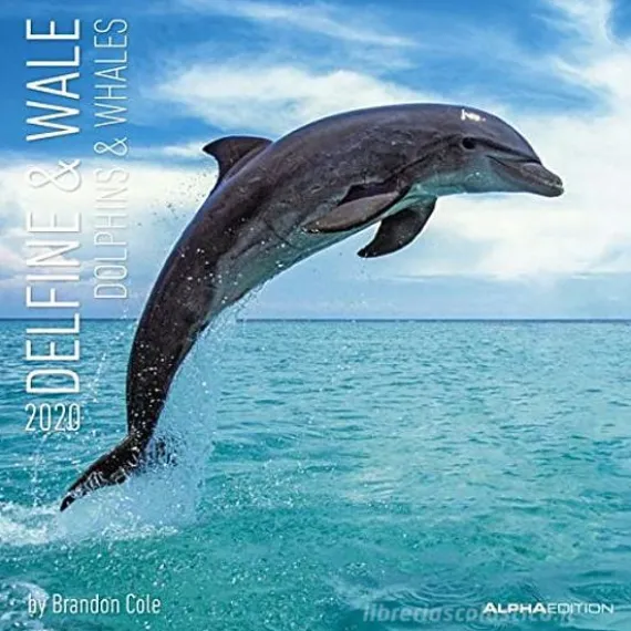 Calendario 2020 Dolphins and Whales 30x30 cm