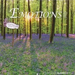 Calendario 2026 Emotions cm 30x30