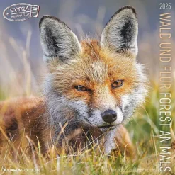 Calendario 2025 Forest Animals cm 30x30