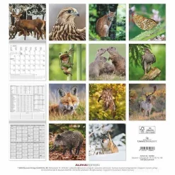 Calendario 2025 Forest Animals cm 30x30