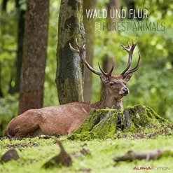 Calendario 2022 Forest Animals 30x30