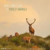 Calendario 2023 Forest Animals 30x30