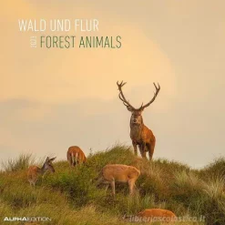 Calendario 2023 Forest Animals 30x30
