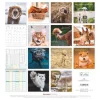 Calendario 2026 Funny Animals cm 30x30