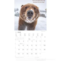 Calendario 2026 Funny Animals cm 30x30