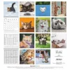 Calendario 2025 Funny Cats cm 30x30