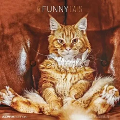 Calendario 2022 Funny Cats 30x30