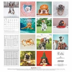 Calendario 2025 Funny Dogs cm 30x30