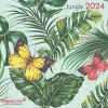 Calendario 2024 GreenLine Jungle cm 30x30