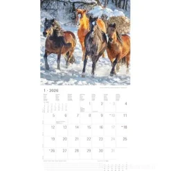 Calendario 2026 Horses cm 30x30