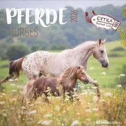 Calendario 2026 Horses cm 30x30