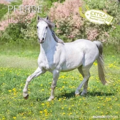 Calendario 2025 Horses cm 30x30