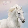 Calendario 2024 Horses cm 30x30
