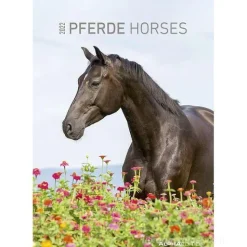 Calendario 2022 Horses 23,7x34