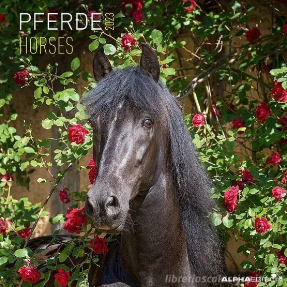 Calendario 2023 Horses 30x30