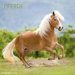 Calendario 2020 Horses 30x30 cm