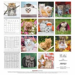 Calendario 2025 Kittens cm 30x30