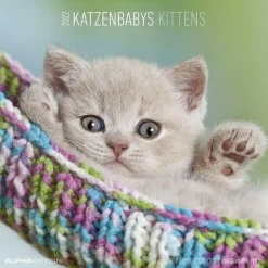 Calendario 2022 Kittens 30x30