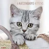 Calendario 2021 Kittens 30x30