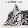 Calendario 2020 Kittens 30x30 cm