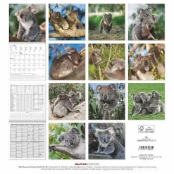 Calendario 2025 Koalas cm 30x30
