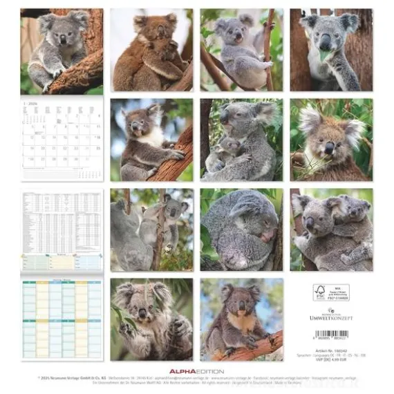 Calendario 2026 Koalas cm 30x30
