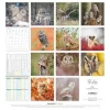 Calendario 2026 Owls cm 30x30
